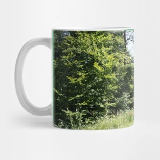 Forest Path Mug